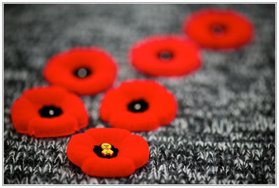#LestWeForget Remembrance Day Canada