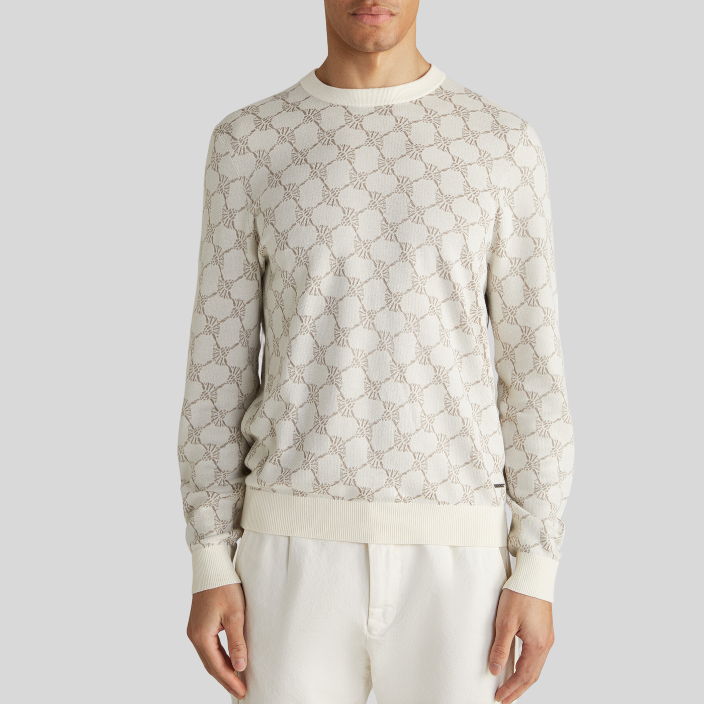 Cornflowers Pattern Crew Neck Sweater - Beige