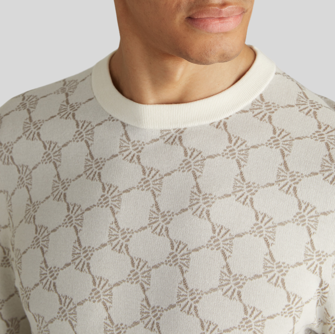 Cornflowers Pattern Crew Neck Sweater - Beige