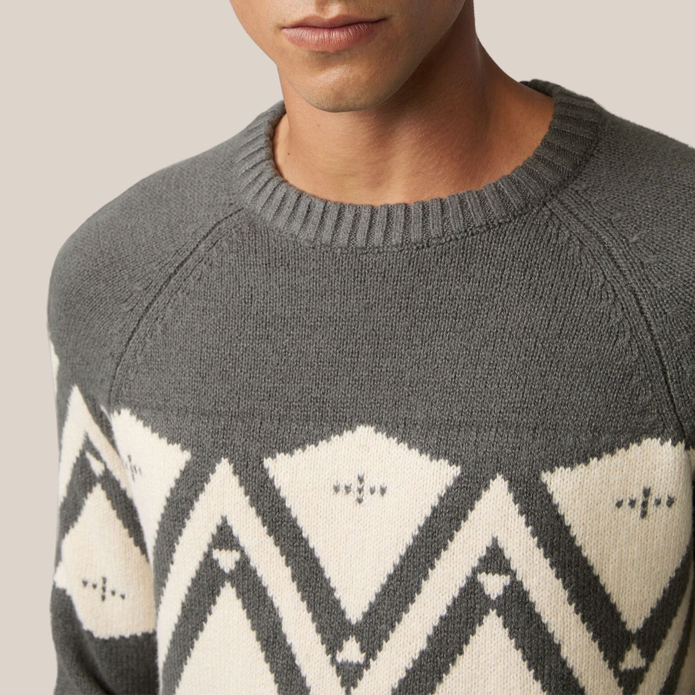 Contrast Pattern Raglan Sleeve Sweater - Olive